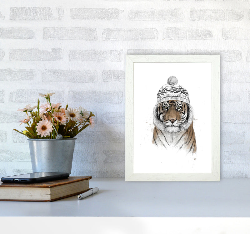 Siberian Tiger Animal Art Print by Balaz Solti A4 Oak Frame