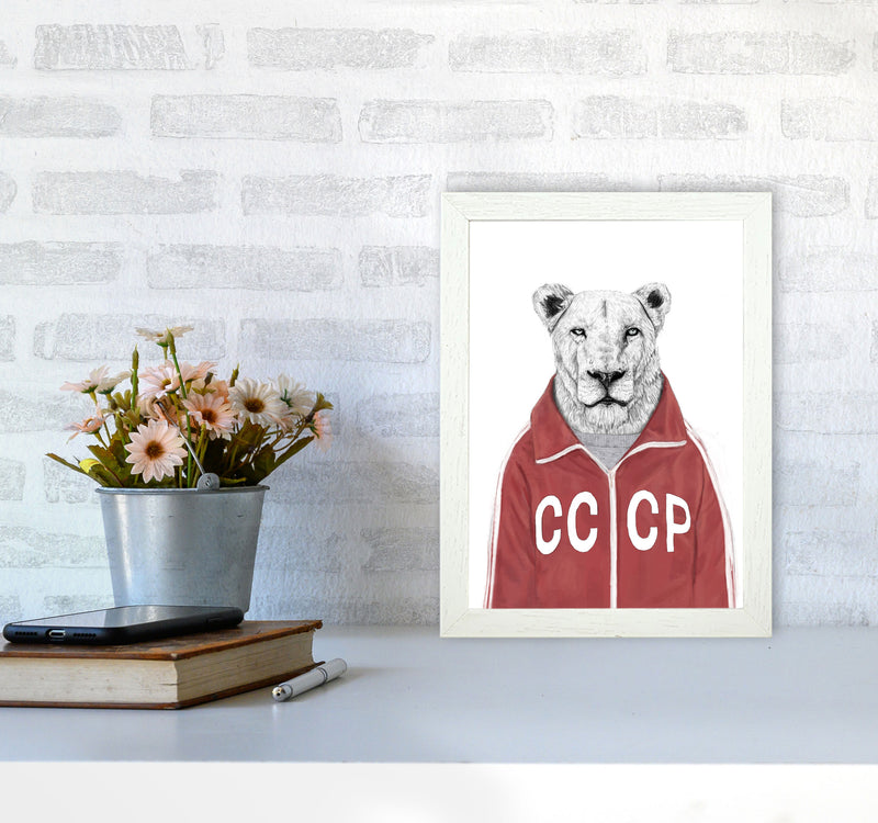 Soviet Lion Animal Art Print by Balaz Solti A4 Oak Frame