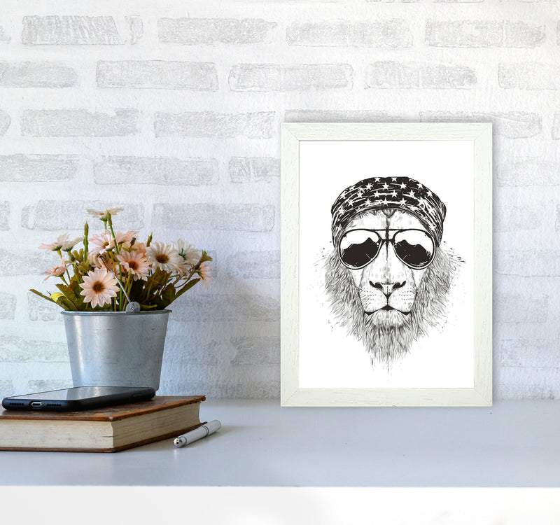 Wild Lion B&W Animal Art Print by Balaz Solti A4 Oak Frame