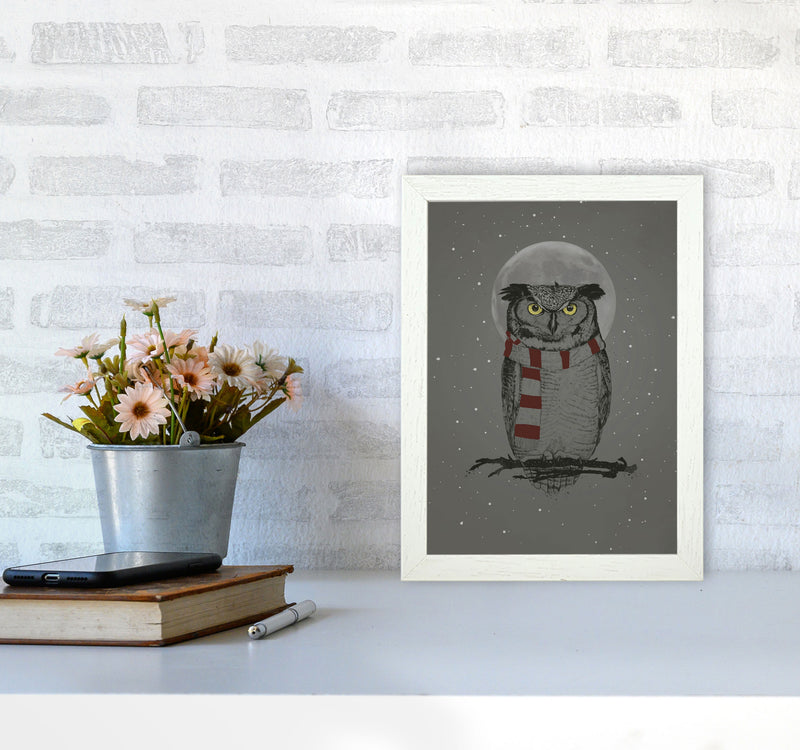 Winter Owl Animal Art Print by Balaz Solti A4 Oak Frame