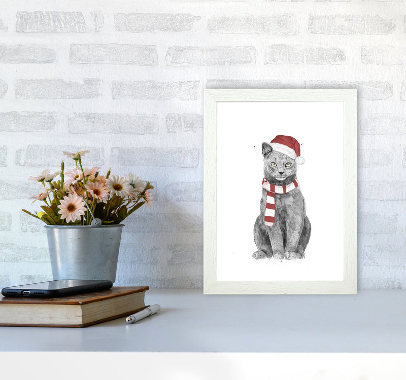 Christmas Cat Animal Art Print by Balaz Solti A4 Oak Frame