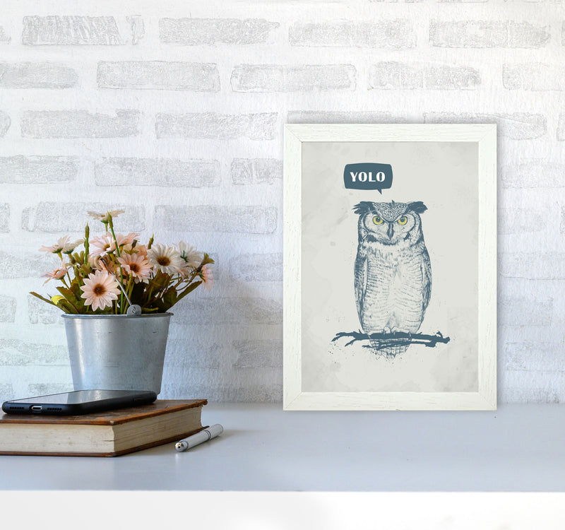 Yolo Owl Animal Art Print by Balaz Solti A4 Oak Frame