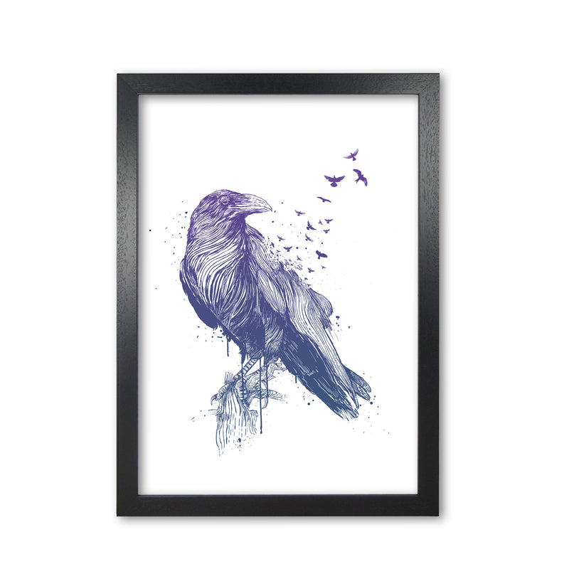 Born To Be Free Raven Animal Art Print by Balaz Solti Black Grain