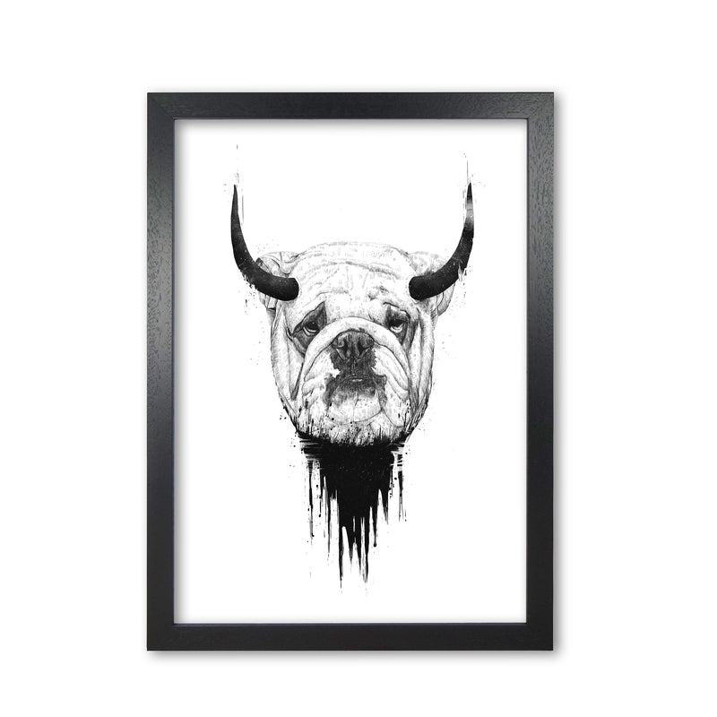 Bulldog Horns Animal Art Print by Balaz Solti Black Grain
