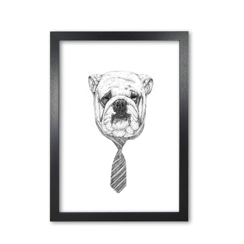Cool Bulldog Animal Art Print by Balaz Solti Black Grain