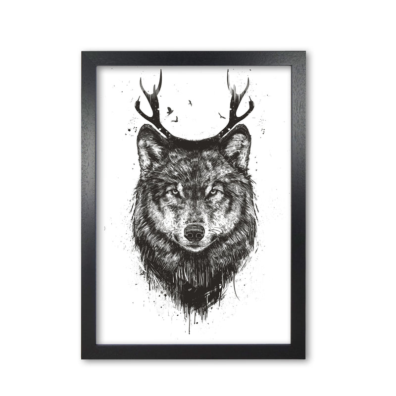 Deer Wolf B&W Animal Art Print by Balaz Solti Black Grain