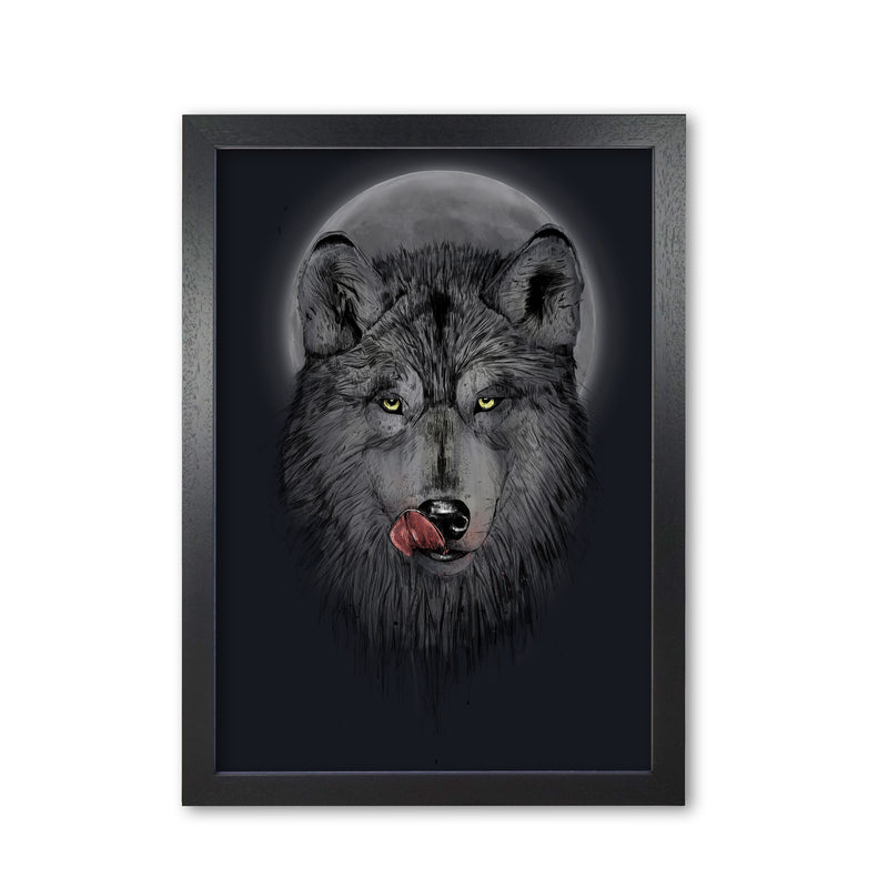 Dinner Time Wolf Night Animal Art Print by Balaz Solti Black Grain