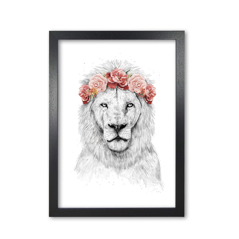 Festival Floral Lion Animal Art Print by Balaz Solti Black Grain