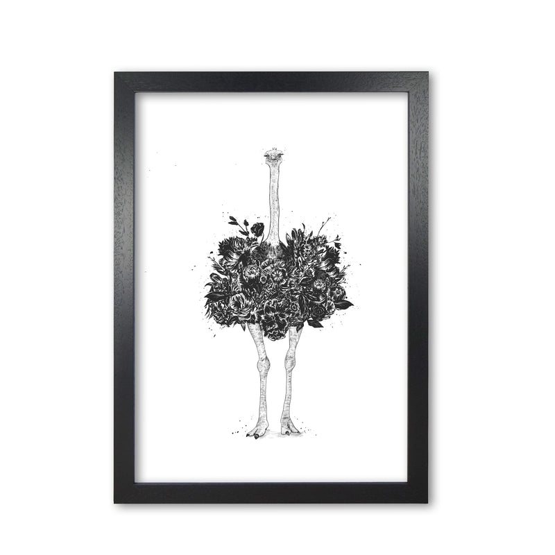 Floral Ostrich Animal Art Print by Balaz Solti Black Grain