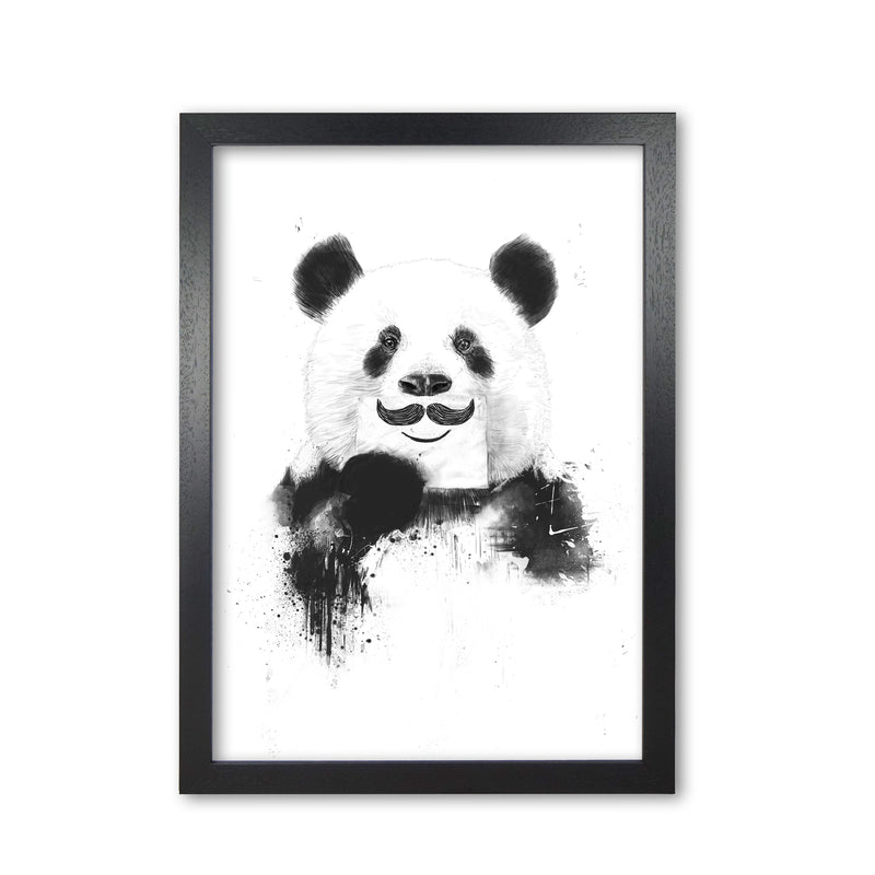 Funny Panda Animal Art Print by Balaz Solti Black Grain