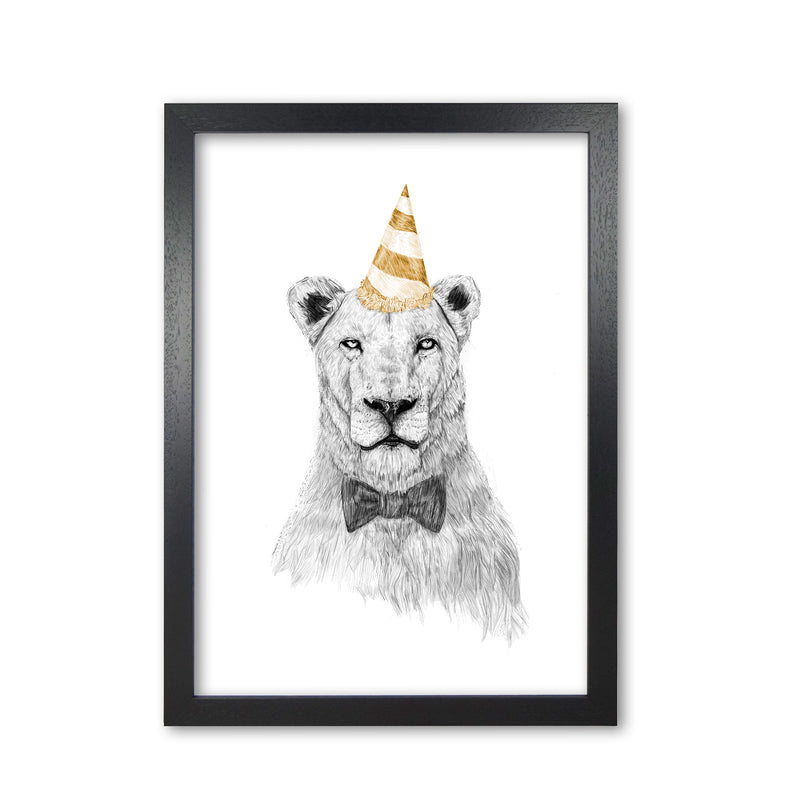Get The Party Started Lion Colour Animal Art Print by Balaz Solti Black Grain