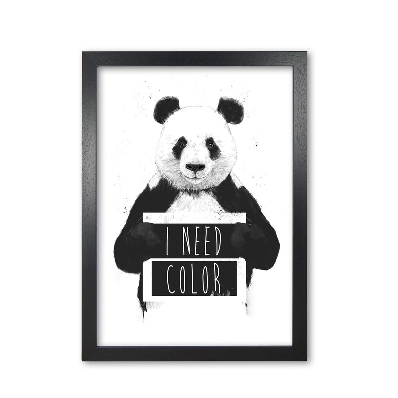 I Need Colour Panda Animal Art Print by Balaz Solti Black Grain