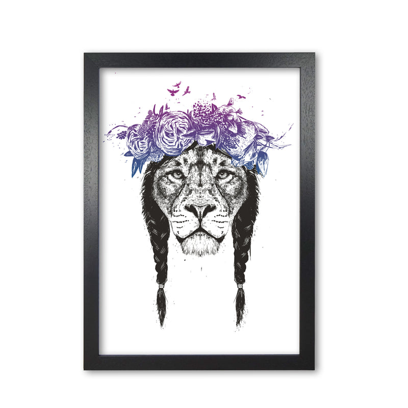 King Of Lions Animal Art Print by Balaz Solti Black Grain