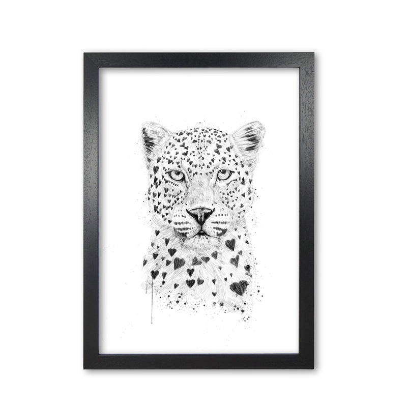 Lovely Leopard Animal Art Print by Balaz Solti Black Grain