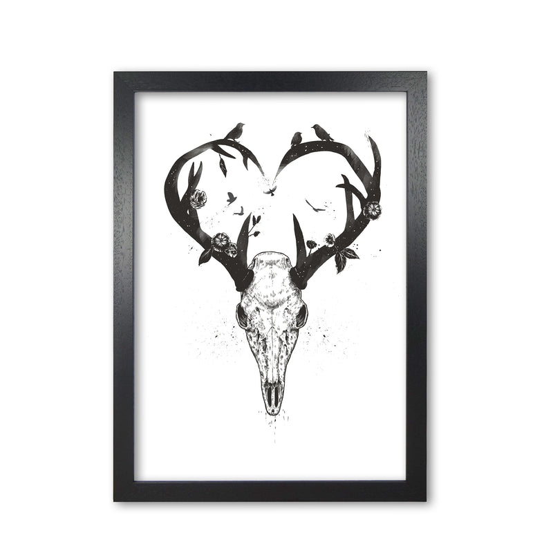 Never-ending Love Deer Skull B&W Animal Art Print by Balaz Solti Black Grain