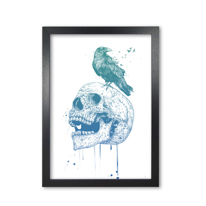 Skull & Raven Colour Animal Art Print by Balaz Solti Black Grain