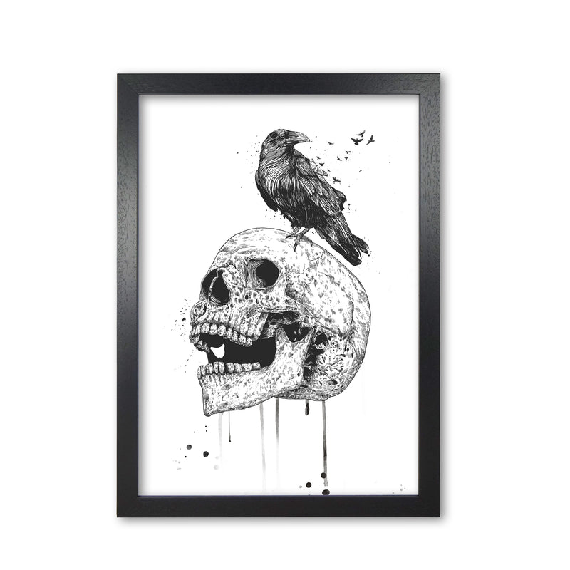 Skull & Raven B&W Animal Art Print by Balaz Solti Black Grain