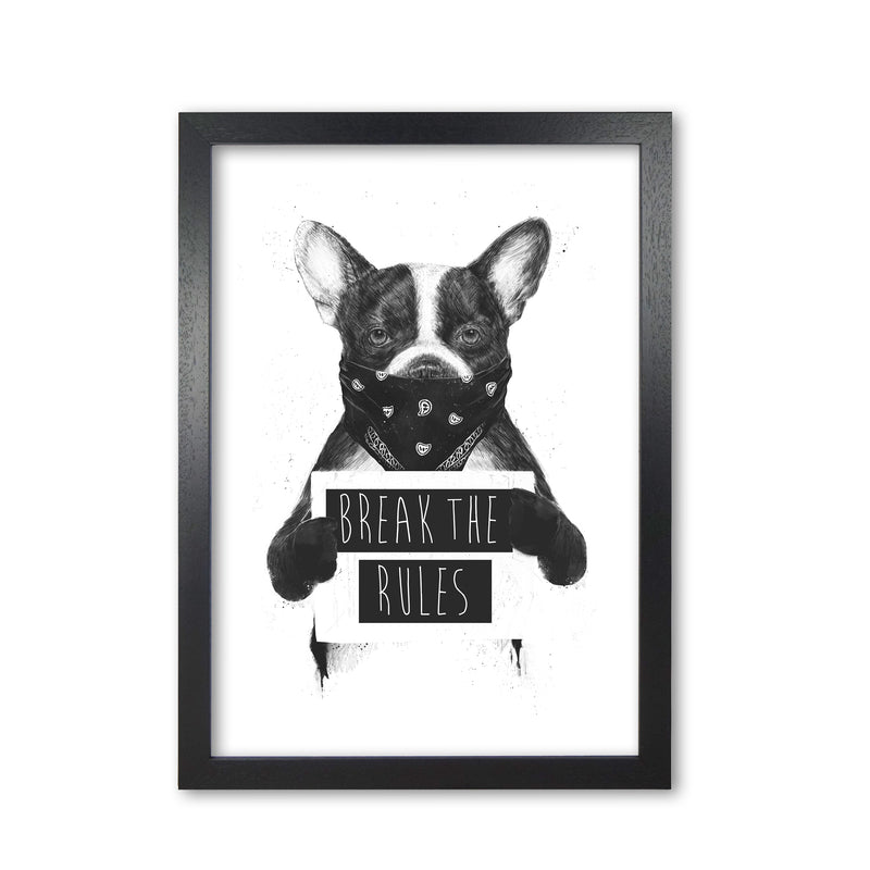 Rebel Bulldog Animal Art Print by Balaz Solti Black Grain