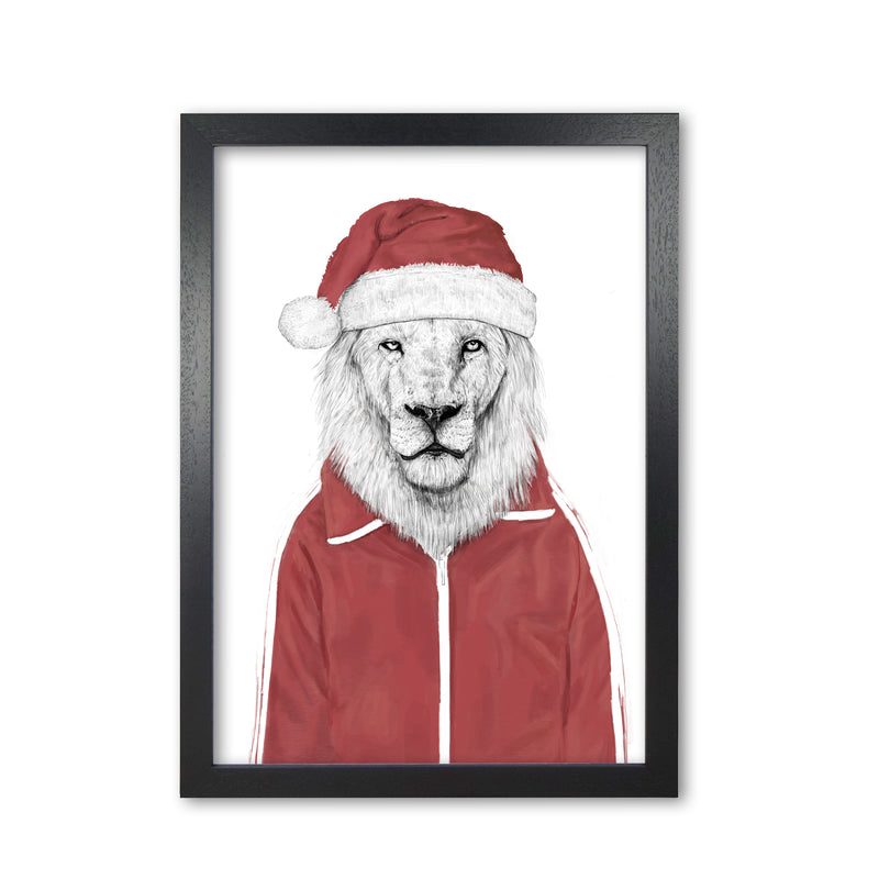 Santa Lion Animal Art Print by Balaz Solti Black Grain