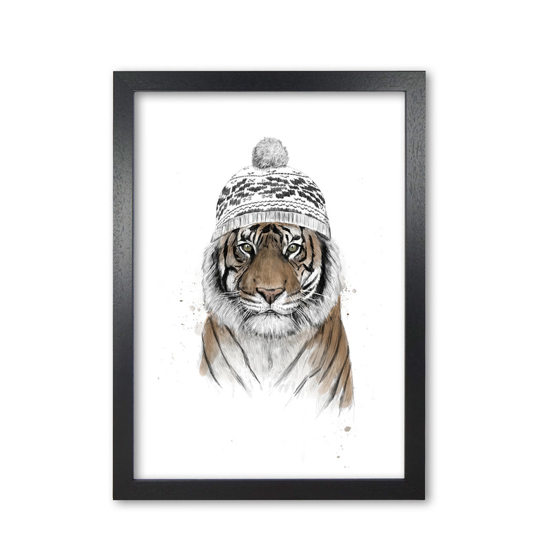 Siberian Tiger Animal Art Print by Balaz Solti Black Grain