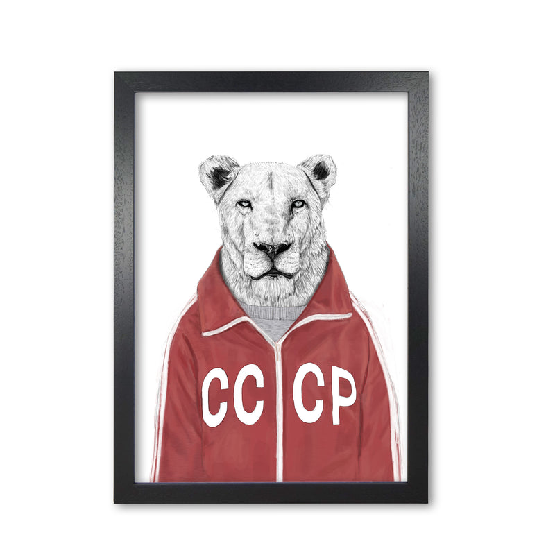 Soviet Lion Animal Art Print by Balaz Solti Black Grain