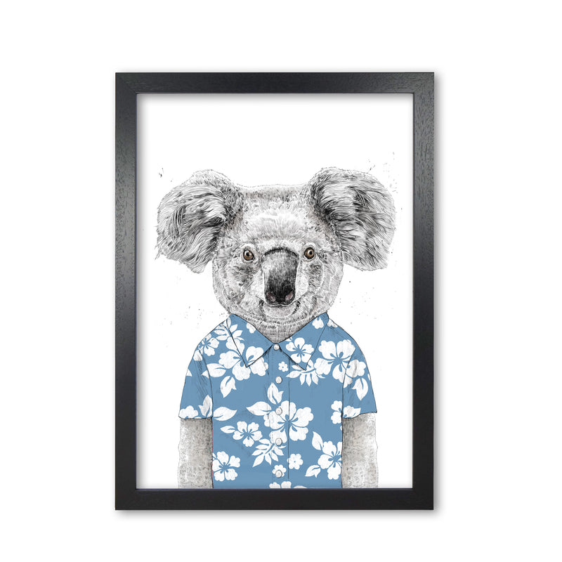 Summer Koala Blue Animal Art Print by Balaz Solti Black Grain