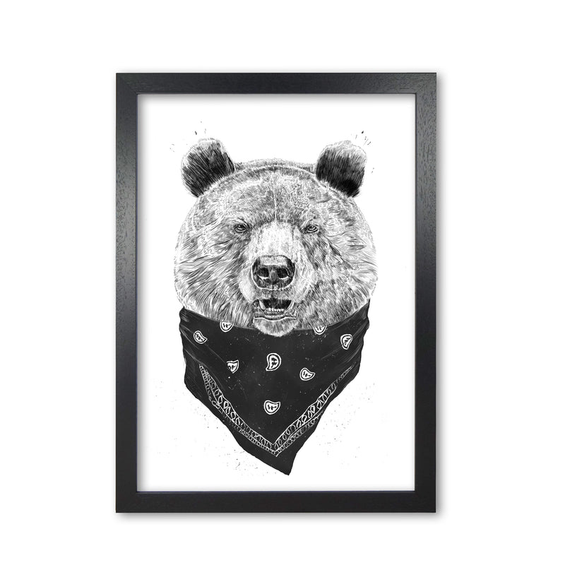 Wild Bear Animal Art Print by Balaz Solti Black Grain
