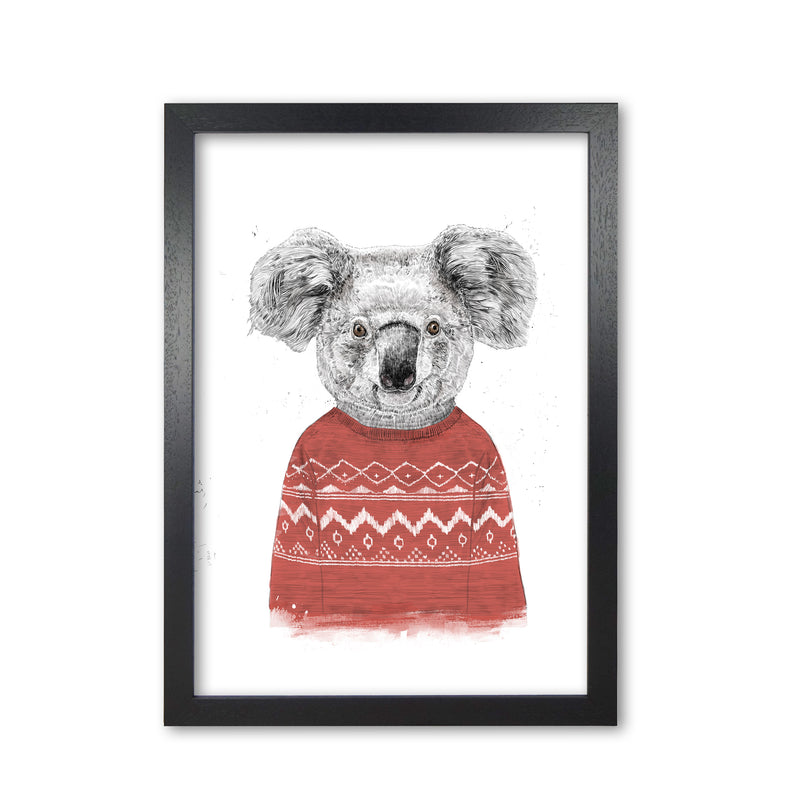 Winter Koala Red Animal Art Print by Balaz Solti Black Grain