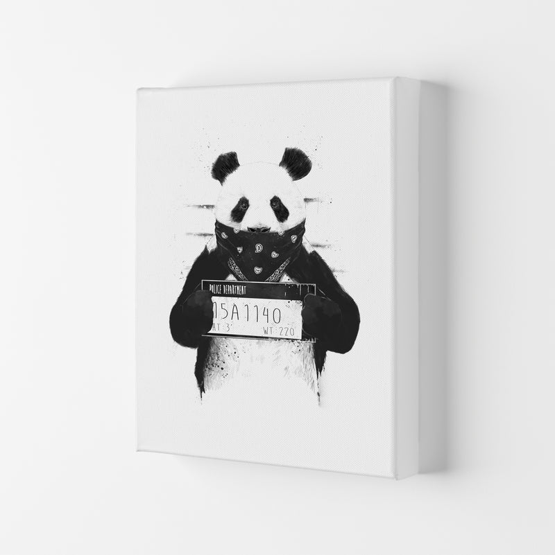 Bad Panda Animal Art Print by Balaz Solti Canvas