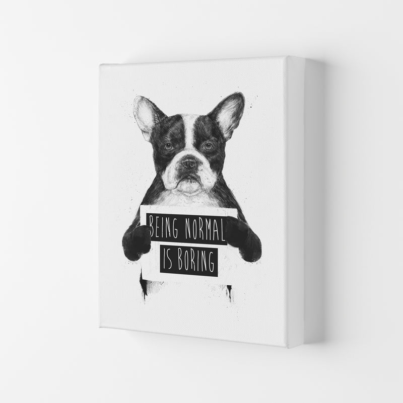 Being Normal Is Boring Animal Art Print by Balaz Solti Canvas