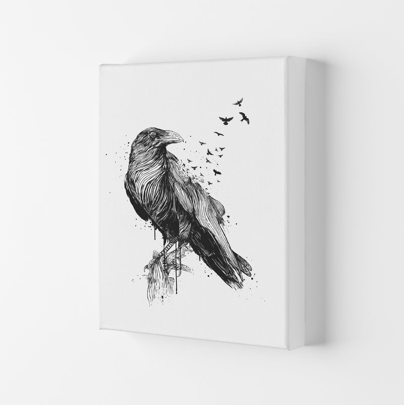 Born To Be Free Raven B&W Animal Art Print by Balaz Solti Canvas