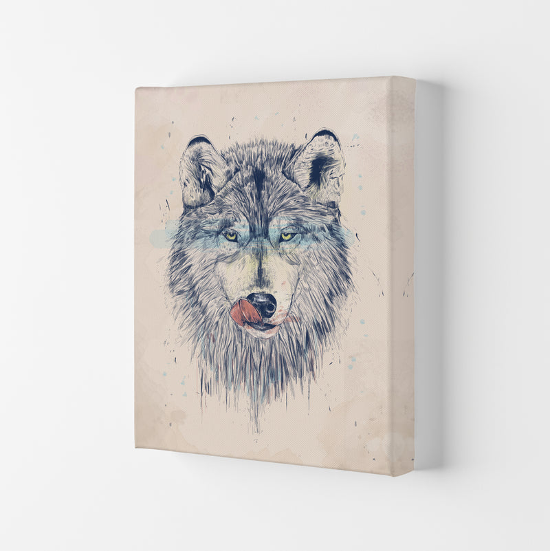 Dinner Time Wolf Animal Art Print by Balaz Solti Canvas