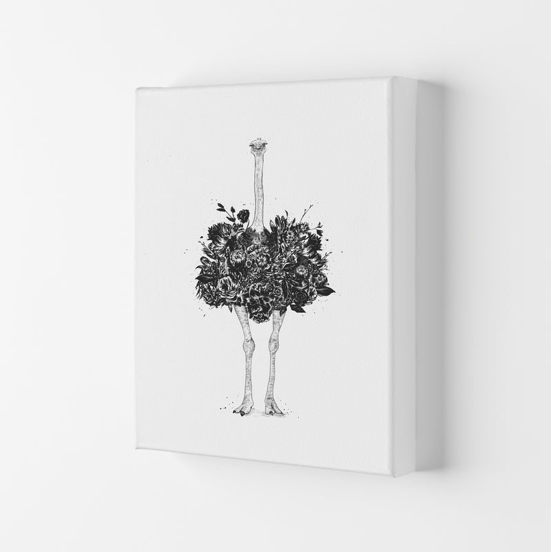 Floral Ostrich Animal Art Print by Balaz Solti Canvas
