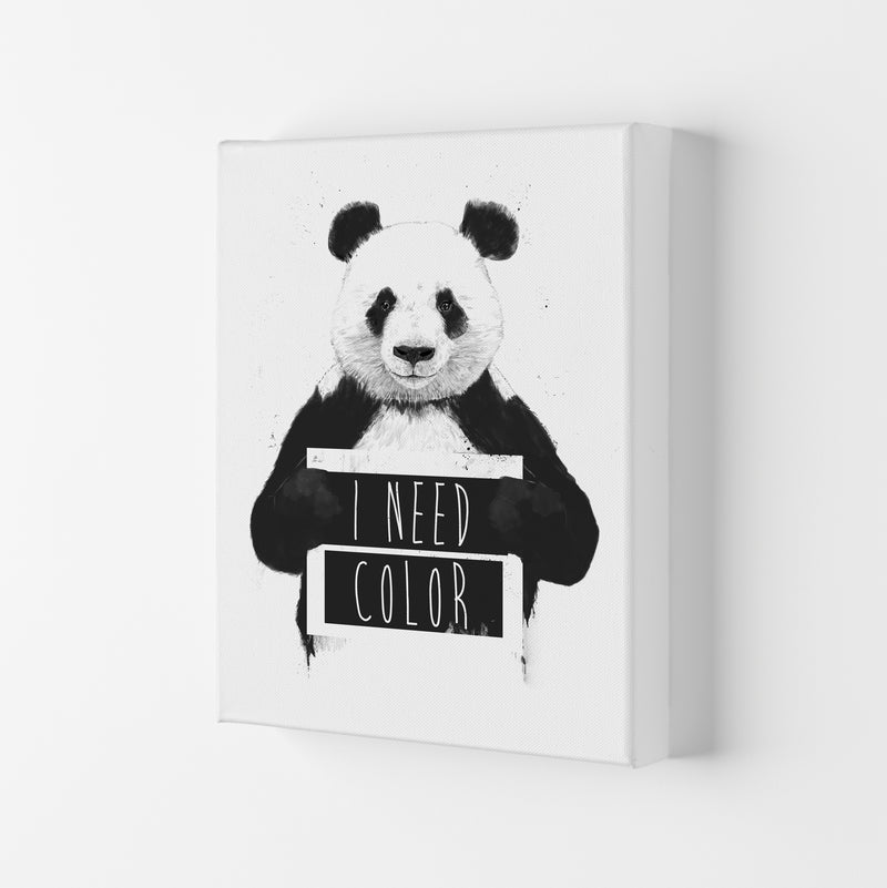 I Need Colour Panda Animal Art Print by Balaz Solti Canvas