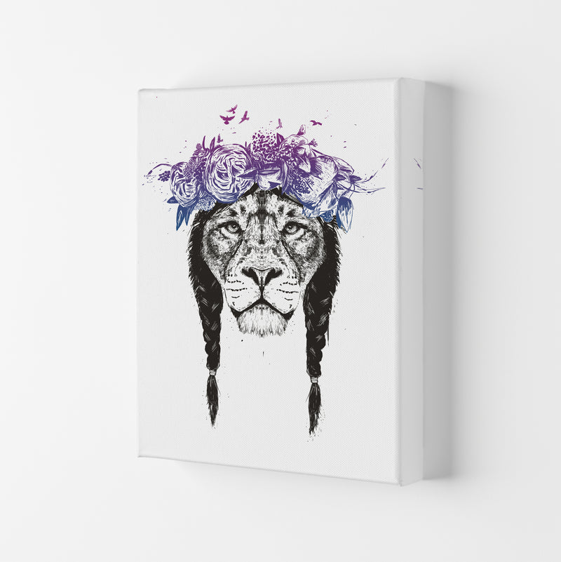 King Of Lions Animal Art Print by Balaz Solti Canvas