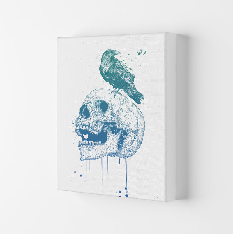 Skull & Raven Colour Animal Art Print by Balaz Solti Canvas