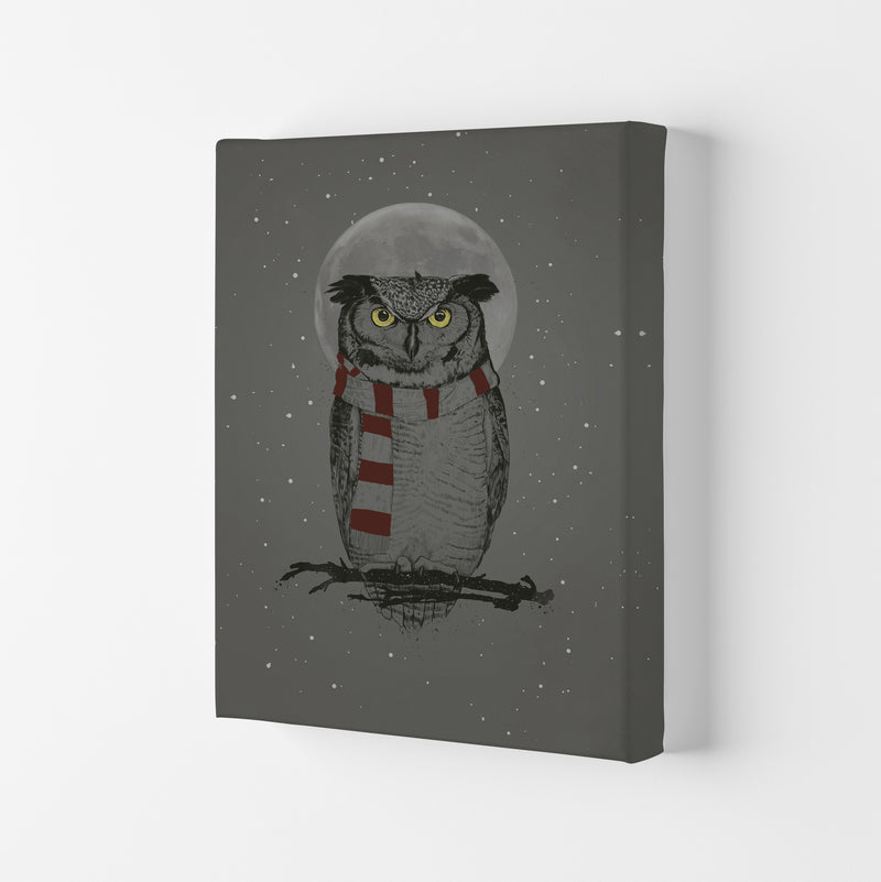 Winter Owl Animal Art Print by Balaz Solti Canvas