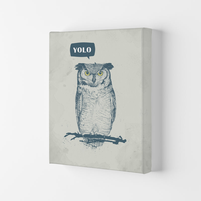 Yolo Owl Animal Art Print by Balaz Solti Canvas