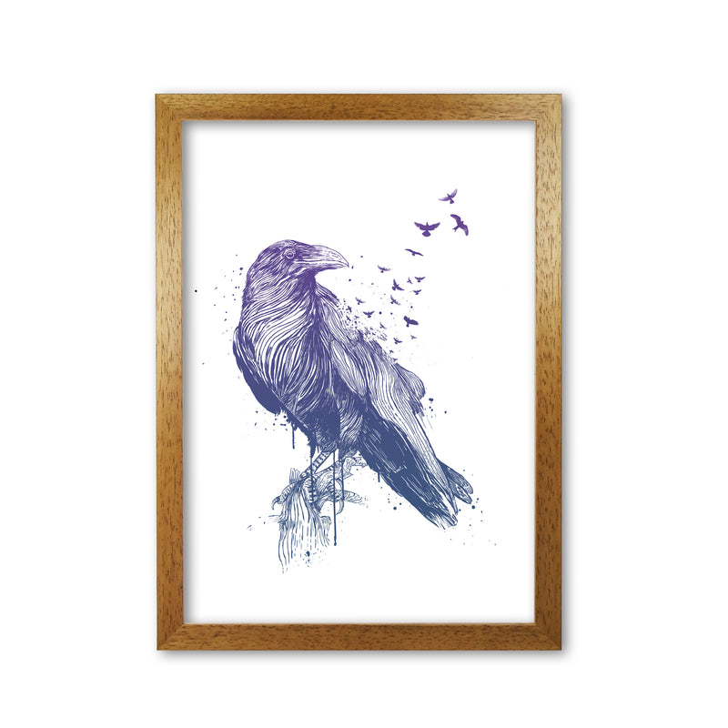 Born To Be Free Raven Animal Art Print by Balaz Solti Oak Grain