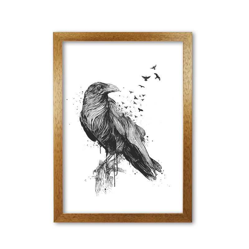 Born To Be Free Raven B&W Animal Art Print by Balaz Solti Oak Grain
