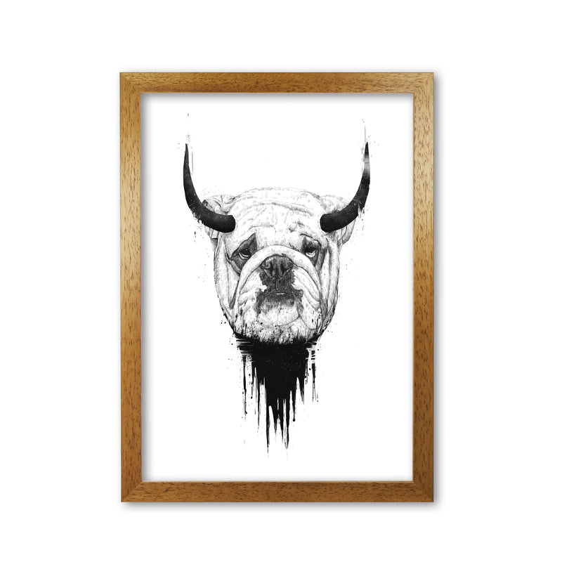 Bulldog Horns Animal Art Print by Balaz Solti Oak Grain