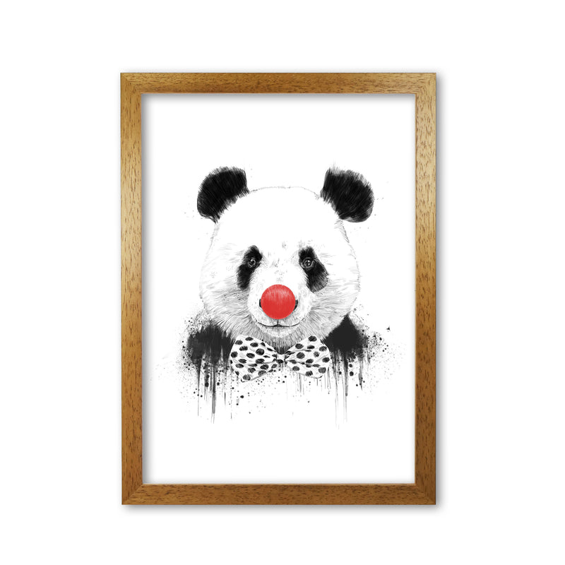 Clown Panda Animal Art Print by Balaz Solti Oak Grain