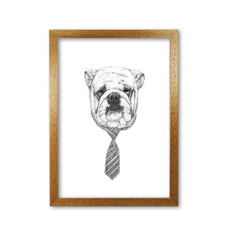 Cool Bulldog Animal Art Print by Balaz Solti Oak Grain