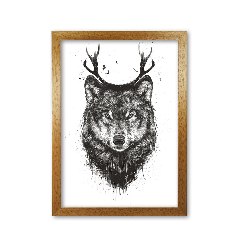 Deer Wolf B&W Animal Art Print by Balaz Solti Oak Grain