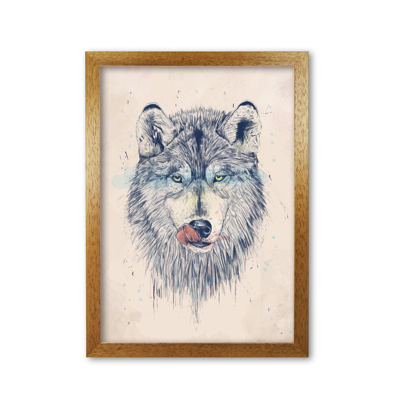 Dinner Time Wolf Animal Art Print by Balaz Solti Oak Grain
