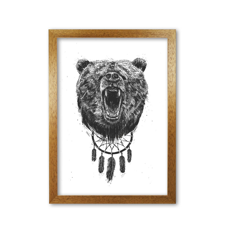 Don't Wake The Bear Animal Art Print by Balaz Solti Oak Grain
