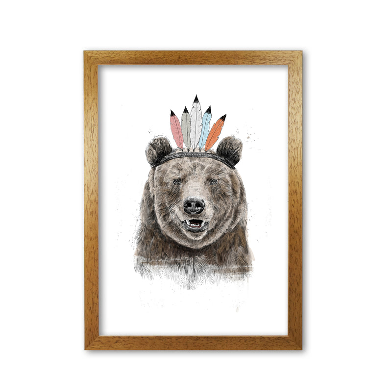Festival Bear Animal Art Print by Balaz Solti Oak Grain