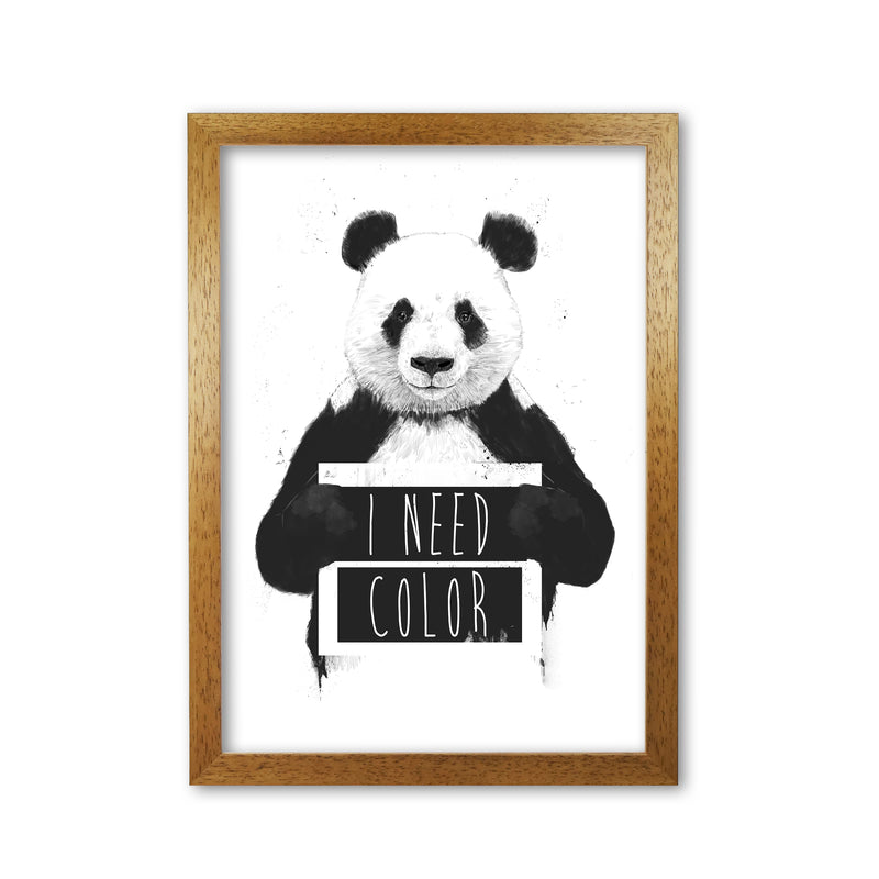 I Need Colour Panda Animal Art Print by Balaz Solti Oak Grain