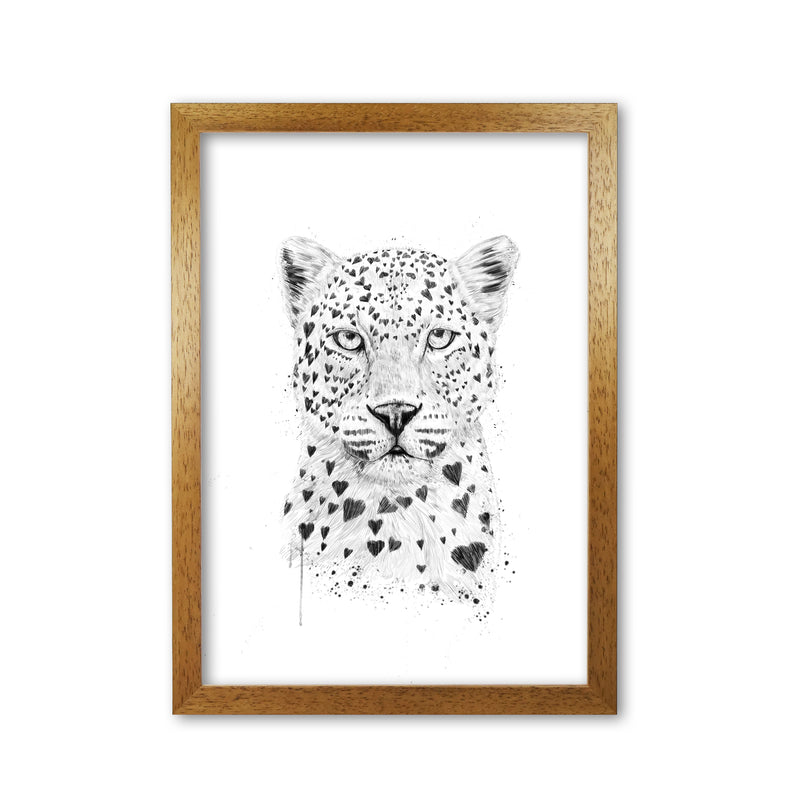 Lovely Leopard Animal Art Print by Balaz Solti Oak Grain