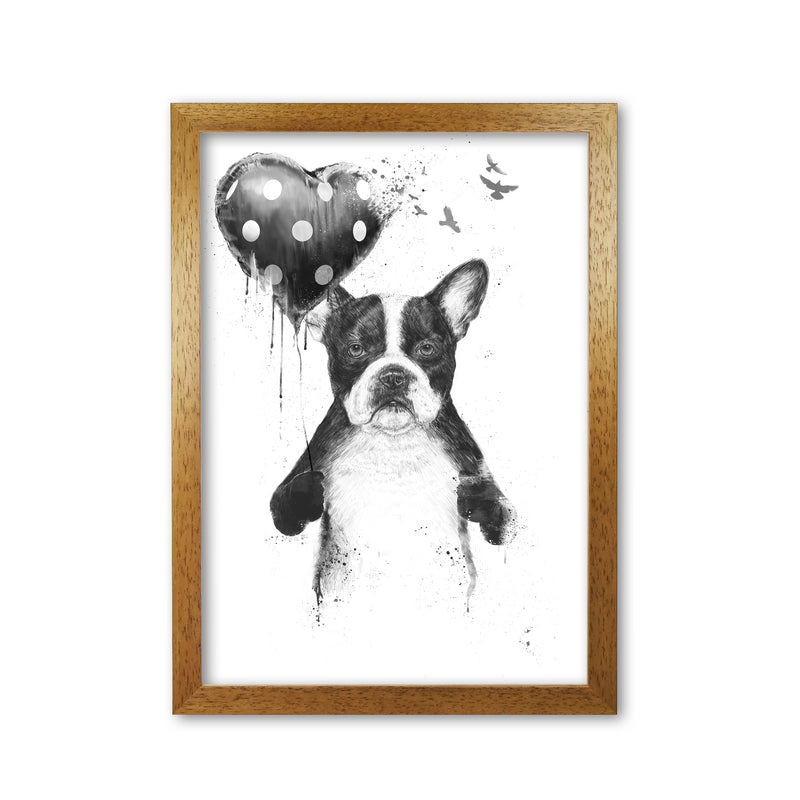 My Heart Goes Boom Bulldog Animal Art Print by Balaz Solti Oak Grain